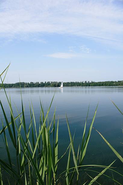 quarry pond a quarry pond in Germany leopoldshafen stock pictures, royalty-free photos & images