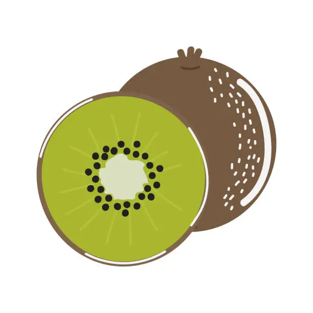 Vector illustration of Kiwi fruit isolated on a white background. Vector illustration.