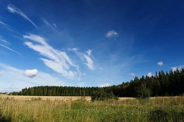 Landscape of a meadow with a forest, and blue and cloudy sky in the background in Finland