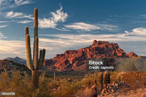 Red Mountain And Saguaro Cactus Stock Photo - Download Image Now - Cactus, Arizona, Desert Area
