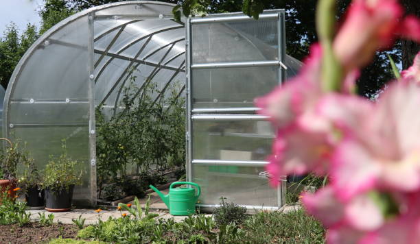 greenhouse in back garden with open door - construction frame plastic agriculture greenhouse imagens e fotografias de stock