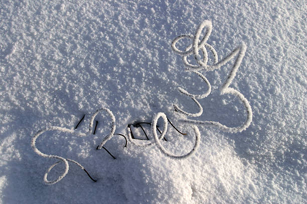 istock dry grass in the frost 185465172
