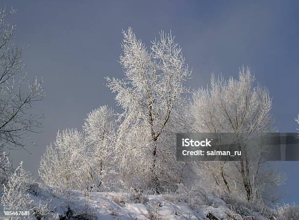 Paisagem De Inverno - Fotografias de stock e mais imagens de Amanhecer - Amanhecer, Ao Ar Livre, Azul