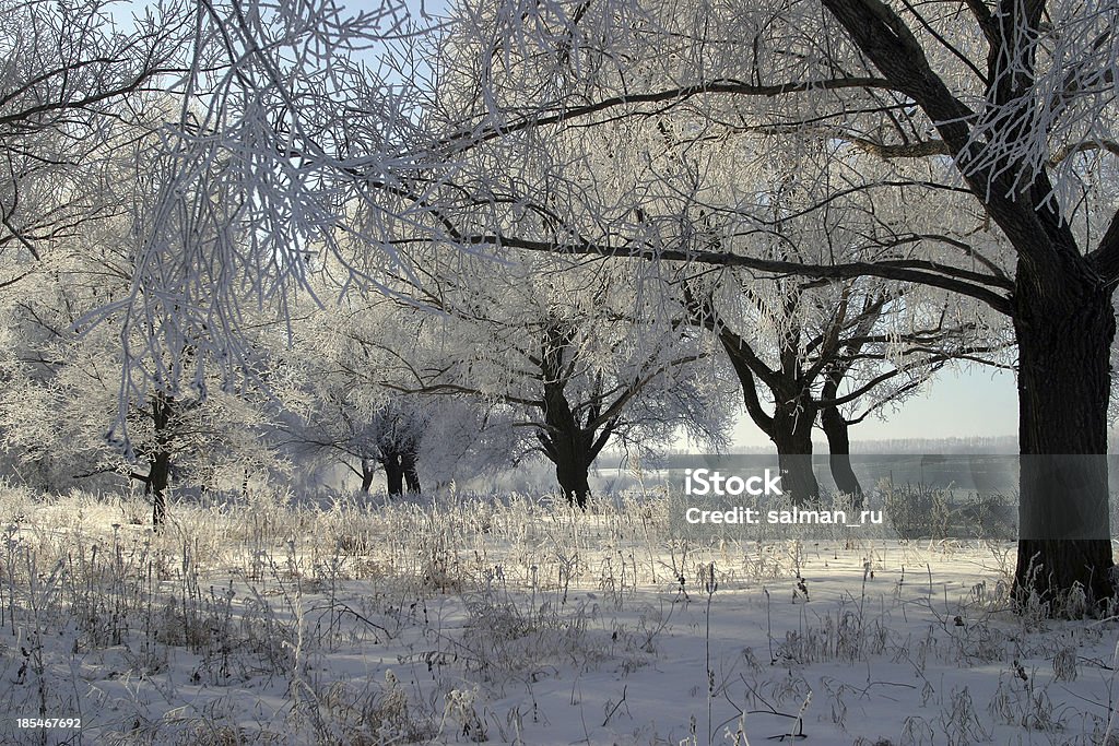 zimowy krajobraz - Zbiór zdjęć royalty-free (Bajka)