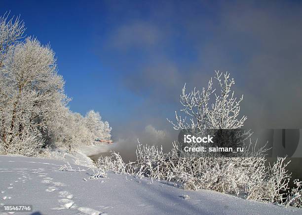 Photo libre de droit de Matin Dhiver Sur La Rivière banque d'images et plus d'images libres de droit de Aliment séché - Aliment séché, Arbre, Aube