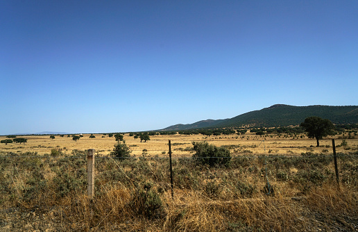 Dry landscape in Spain with large pastures for cattle and agriculture