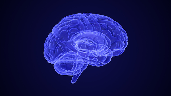 As a disease, chronic pain is seen to arise from a localized lesion in the brain. They are not quite saying that brains feel pain, but that brains (when disordered) make us feel chronic pain. Giving pain a home in the brain may provide benefits in the form of new therapeutic targets. Imagine lying inside a massive functional magnetic resonance imaging (fMRI) machine, your head surrounded by a 10-foot-wide white magnetic doughnut. While you lie there, daydreaming, the scientists in the room next door monitor the patterns of activity that flicker around in your brain.