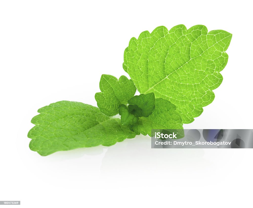 Menta, Melissa - Foto stock royalty-free di Aromaterapia