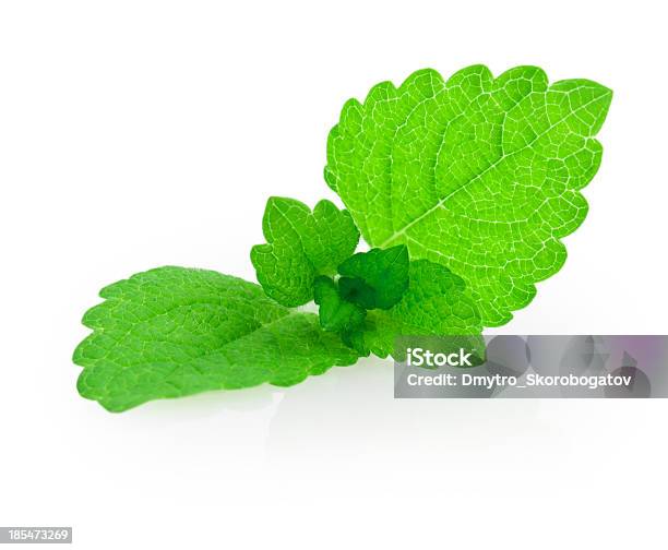 Menta Melissa - Fotografie stock e altre immagini di Aromaterapia - Aromaterapia, Balsamo per labbra, Cibo