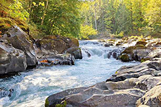 Skutz Falls at Cowichan River Provincial Park