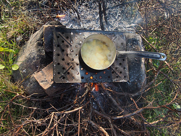 istock casserole with potatoes on the fire 185475082