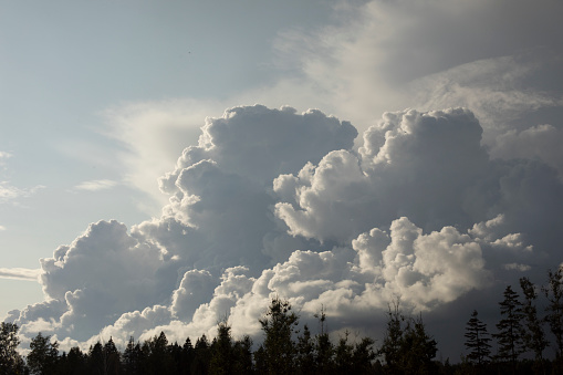 Majestic sky over forest. Lots of clouds in sky. Cumulus clouds and forest. Summer landscape.