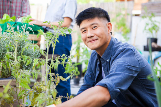 istock Cheerful young man tending vegetable inside community garden 1854757700