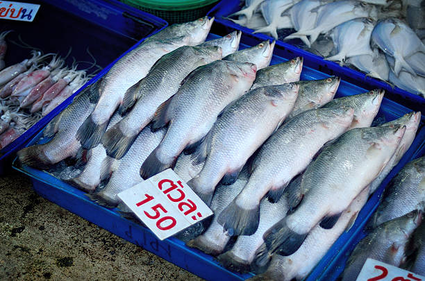 istock Fish in plastic tray at market 185477925