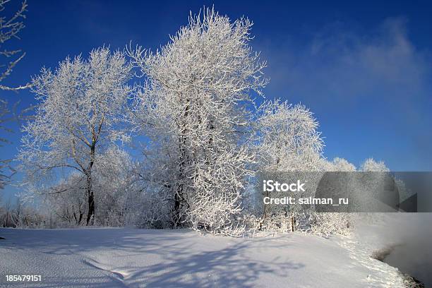 Paesaggio Invernale - Fotografie stock e altre immagini di Alba - Crepuscolo - Alba - Crepuscolo, Albero, Alimenti secchi