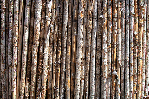 Fence made of tree trunks, Santa Fe, New Mexico, USA