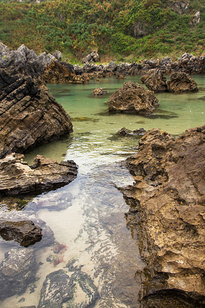 istock Rocks on the beach - Rocas en la playa 185479474