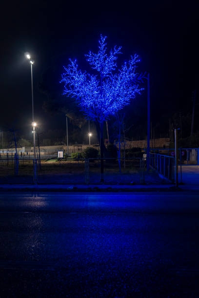 Illuminated tree on a road at night in blue color as a Christmas decoration motif