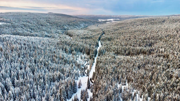 istock Winter in polish mountains 1854815901