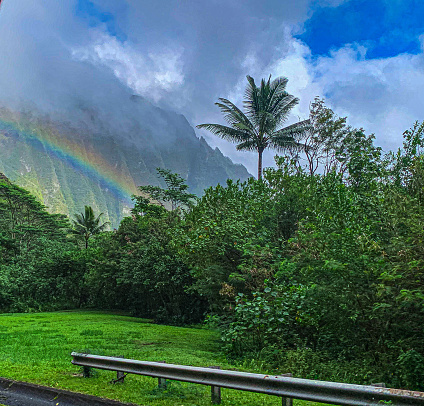 Rainbow, clouds, blue sky, and palm trees in Oahu, Hawai’i.
