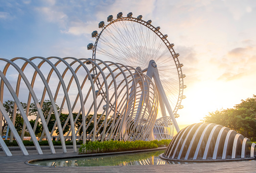 Ferris wheel in the park