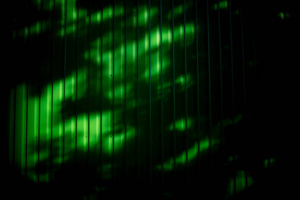 Shadow on green wall. Black shadow from foliage. Steel wall. Green texture with black spots.