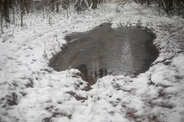 istock Puddle in the forest. Frozen path. Melted snow on the road. 1854850969