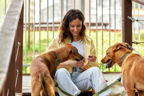 A young charming smiling girl is resting sitting on the steps while walking with two golden dogs. The girl treats her pets. Love and affection between owner and pet. Adopting a pet from a shelter.