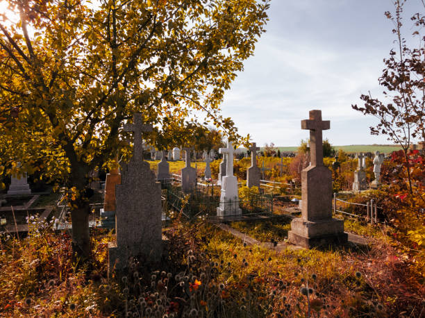 istock Graves with crosses in the cemetery on a sunny morning. 1854893067