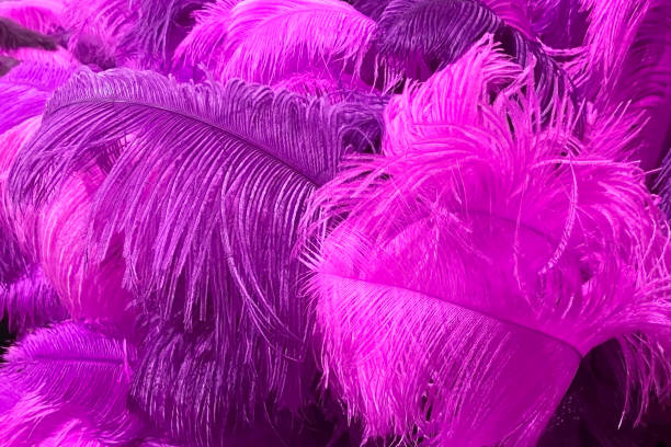 istock Purple feathers as a background, close-up, macro photo 1854899725