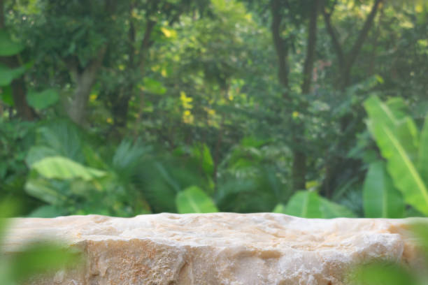 istock Stone tabletop podium floor in outdoors tropical garden forest blurred green leaf plant nature background.Natural product placement pedestal stand display,jungle paradise concept. 1854908098