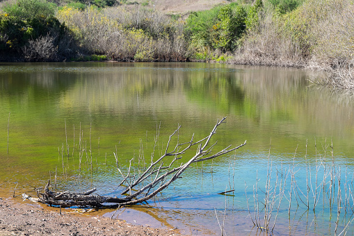 Pond in the Erjos area in Tenerife, Canary Islands