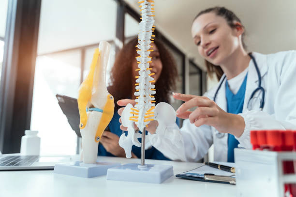 istock Knee model showing the process of osteoarthritis and knee arthroplasty, doctors are analyzing model. 1854948283