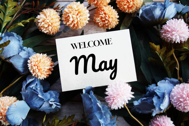 istock Welcome May text message with flower decoration on wooden background 1854956288