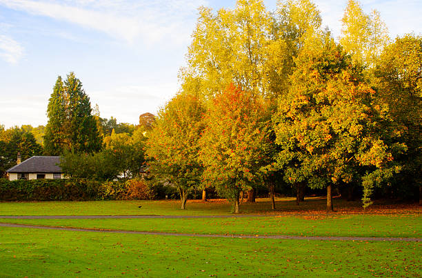 istock Autumn in Scotland 185496792
