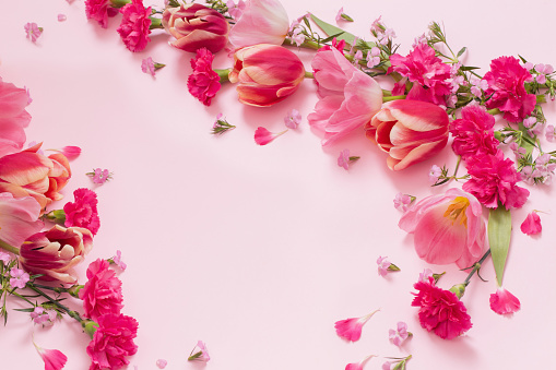 beautiful spring flowers on pink background