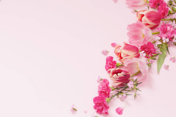 istock beautiful spring flowers on pink background 1854977580