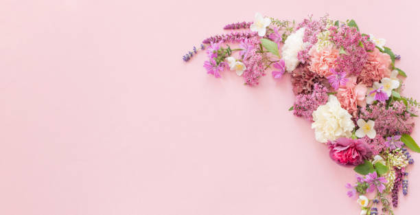 istock beautiful summer flowers on pink paper background 1854978644