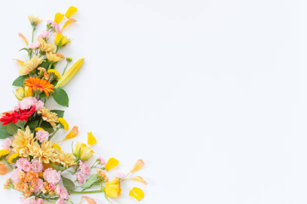 istock frame of beautiful flowers on white background 1854978658