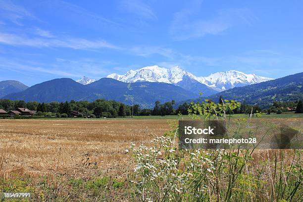 Montblanc Stockfoto und mehr Bilder von Baum - Baum, Berg, Berg Mont Blanc