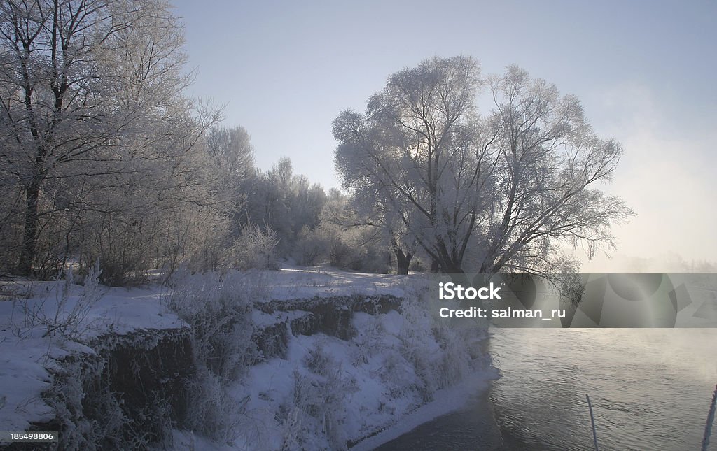 Matin d'hiver sur la rivière Zai - Photo de Arbre libre de droits