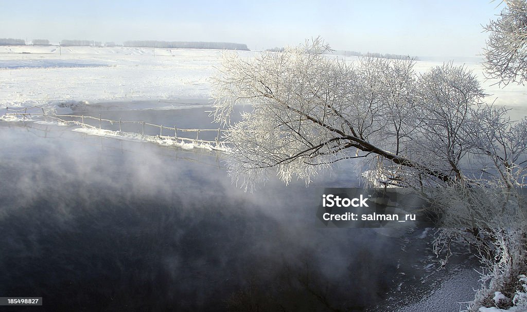 Mattina invernale sul fiume Zai - Foto stock royalty-free di Albero