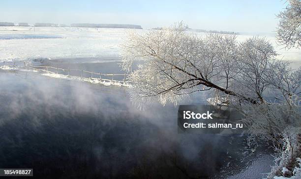 Mattina Invernale Sul Fiume Zai - Fotografie stock e altre immagini di Albero - Albero, Ambientazione esterna, Brina - Acqua ghiacciata