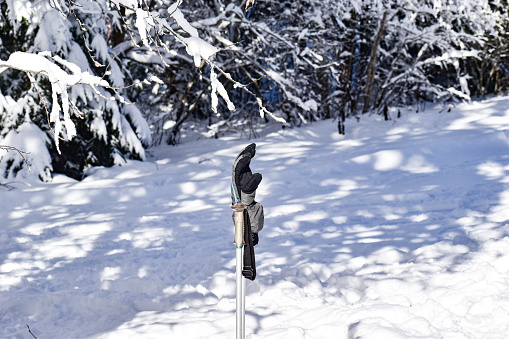 An abstract image or background of a glove and a walking stick left in snow