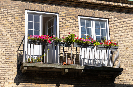 Window decorated with flower pots,  cast iron railing, red geraniums, white petunias. Pontevedra province, Galicia, Spain.