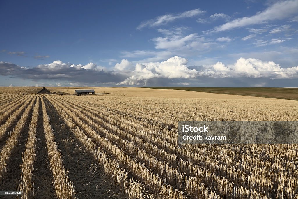 Les nuages sur les champs - Photo de Agriculture libre de droits