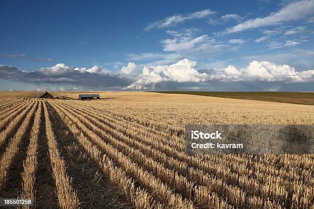 Photo libre de droit de Les Nuages Sur Les Champs banque d'images et plus d'images libres de droit de Agriculture - Agriculture, Automne, Champ