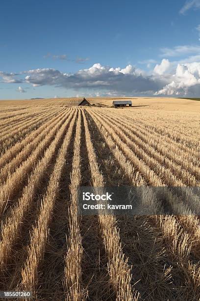 Foto de As Nuvens Sobre Campos De Montana e mais fotos de stock de Acima - Acima, Agricultura, Campo