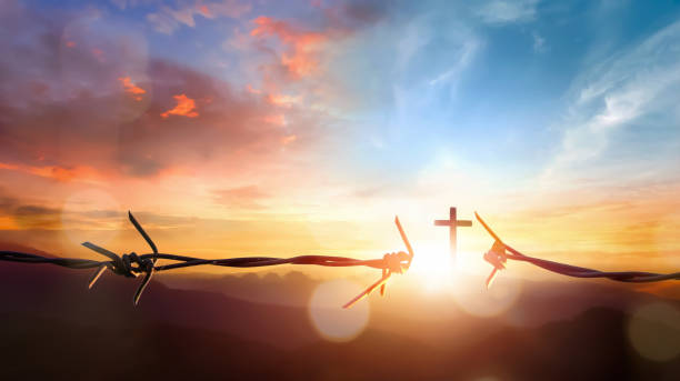 istock freedom concept, barbed wire broken at sunset background 1855016610