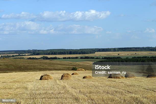 Sommerlandschaft Stockfoto und mehr Bilder von Landwirtschaft - Landwirtschaft, Tatarstan, Agrarbetrieb